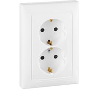 Розетка Legrand двойная с заземлением Legrand Valena со шторками в сборе 16А 250В винтовые зажимы белый 694282