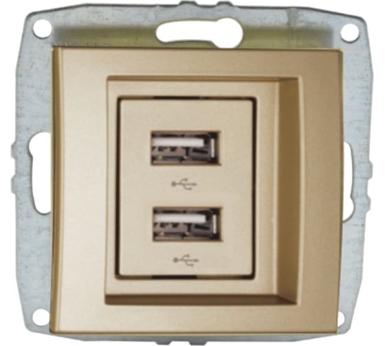 Розетка USB -зарядка Mono Electric 2-гнезда L/D механизм титан 500-002205-178