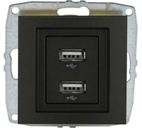 Розетка USB -зарядка Mono Electric 2-гнезда L/D механизм графит 500-002005-178