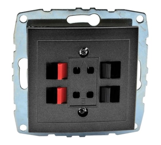 Розетка MONO ELECTRIC L / D Механизм ( Hı-Fı ) 2 Входа Графит 500-002005-142 1