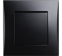 Выключатель 1-клавишный Smartbuy 10А черный "Вега" SBE-08b-10-SW1-0