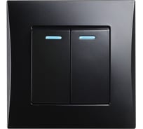 Выключатель 2-клавишный Smartbuy с индикатором 10А черный "Вега" SBE-08b-10-SW2-1