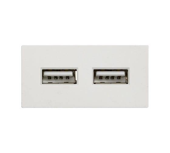 Модуль в рамку Sibling 2 USB-порта 2.4A белый (1/2) 00-01018383