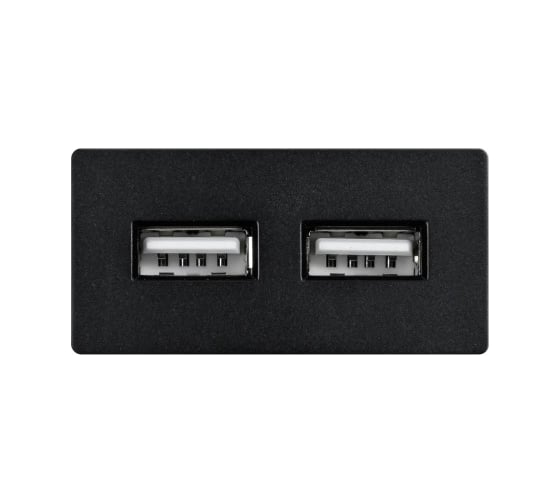 Модуль в рамку Sibling 2 USB-порта 2.4A черный (1/2) 00-01018390