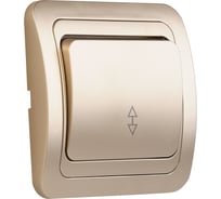 Выключатель проходной Smartbuy 1-клавишный 10А шампань, керамика "Марс" SBE-02c-10-SW12-0-c