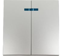 Лицевая панель 2-клавишного выключателя с индикатором EKF PROxima Валенсия 10А, сталь ESV10-L-123-30