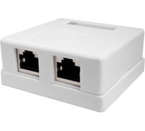 Компьютерная розетка SUPRLAN 8P8C (RJ-45), FTP, Cat.5e, 2 порта (DIY) 10-0308-1