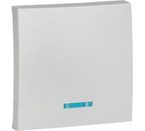 Лицевая панель 1-клавишного выключателя с индикатором EKF Валенсия 10А, сталь, PROxima ESV10-L-121-30