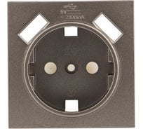 Лицевая панель 1-местной розетки EKF Валенсия, с заземлением, 16А, графит, с защитными шторками, 2 USB, 2,1А PROxima ESR16-L-028-60-2USB