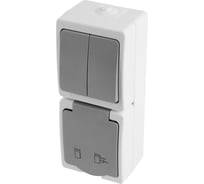 Блок STEKKER розетка 1-местная с/з + выключатель 2-клавишный, PST16-21-54V/10-221-54, белый/серый, 49739