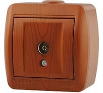Оконечная розетка Lezard NATA ТВ сосна 710-0800-130