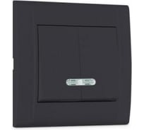 Выключатель 2-клавишный MAKEL СП Defne 10А, IP20, дымчатый металлик, с подсветкой 42050023