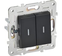 Выключатель 2-клавишный IEK SKANDY с индикацией 10А SK-V09Bl черный SK-V20-1-10-K02