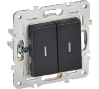 Выключатель 2-клавишный IEK SKANDY проходной с индикацией 10А SK-V10Bl черный SK-V22-1-10-K02