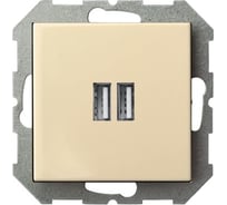 Розетка LIREGUS зарядка usbх2 Эпсилон IUK-2-01 E/S кремовый, без рамки 28-0712