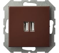 Розетка LIREGUS зарядка, usb х 2 Эпсилон IUK-2-01 E/R коричневая 28-1453