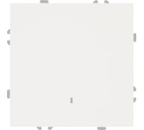 Выключатель 1-клавишный c индикатором (механизм) STEKKER 250В, 10А, серия Эмили, RSW10-5101-01, белый фарфор, soft touch, 49863