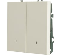 Выключатель 2-клавишный c индикатором (механизм) STEKKER 250В, 10А, серия Эмили, RSW10-5102-01, белый фарфор, soft touch, 49864