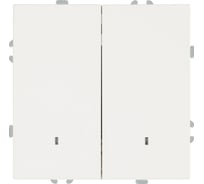 Выключатель 2-клавишный c индикатором (механизм) STEKKER 250В, 10А, серия Эмили, RSW10-5102-01, белый фарфор, soft touch, 49864