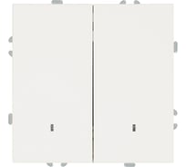 Выключатель 2-клавишный c индикатором (механизм) STEKKER 250В, 10А, серия Эмили, RSW10-5102-01, белый фарфор, soft touch, 49864