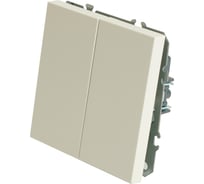 Выключатель 2-клавишный (механизм) STEKKER 250В, 10А, серия Эмили, RSW10-5104-01, белый фарфор, soft touch, 49866