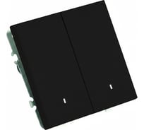 Выключатель 2-клавишный c индикатором (механизм) STEKKER 250В, 10А, серия Эмили, RSW10-5102-05, черный уголь, soft touch, 49838