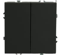 Выключатель 2-клавишный (механизм) STEKKER 250В, 10А, серия Эмили, RSW10-5104-05, черный уголь, soft touch, 49840 34598683