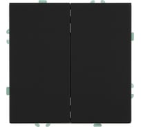 Выключатель 2-клавишный (механизм) STEKKER 250В, 10А, серия Эмили, RSW10-5104-05, черный уголь, soft touch, 49840