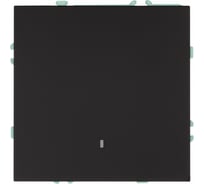 Выключатель 1-клавишный c индикатором (механизм) STEKKER 250В, 10А, серия Эмили, RSW10-5101-05, черный уголь, soft touch, 49837