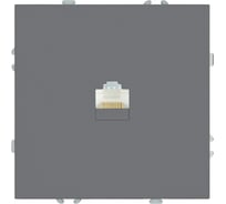 Розетка компьютерная 1-местная RJ-45 (механизм) STEKKER, серия Эмили, RST00-5117-10, платиново-серый, soft touch, 49951