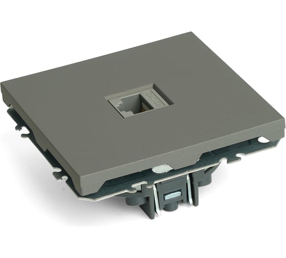 Розетка компьютерная 1-местная RJ-45 (механизм) STEKKER, серия Эмили, RST00-5117-10, платиново-серый, soft touch, 49951
