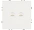 Розетка компьютерная 2-местная RJ-45 (механизм) STEKKER серия Эмили, RST00-5111-01, белый фарфор, soft touch, 49874 1