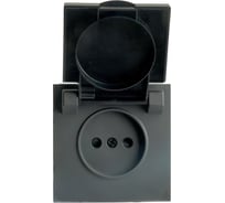 Розетка 1-местная STEKKER RST16-5113-05 с крышкой с защитными шторками, б/з, 250В, 16А, серия Эмили, RST16-5113-05, черный уголь, soft touch, 49852