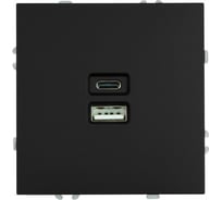 Розетка 2-местная USB + Type C (механизм) STEKKER 250В, 20W, серия Эмили, RST10-5115-05, черный уголь, soft touch, 49853