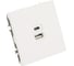 Розетка 2-местная USB + Type C (механизм) STEKKER 250В, 20W, серия Эмили, RST10-5115-01, белый фарфор, soft touch, 49879 2