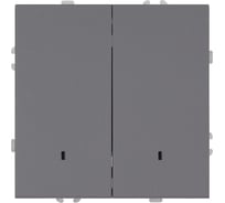 Выключатель 2-клавишный STEKKER c индикатором (механизм), 250В, 10А, серия Эмили, RSW10-5102-10, платиново-серый, soft touch, 49942