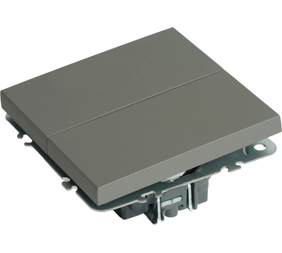 Переключатель 2-клавишный STEKKER (механизм), 250В, 10А, серия Эмили, RSW10-5107-10, платиново-серый, soft touch, 49947