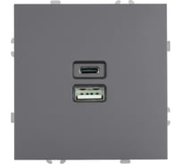 Розетка 2-местная STEKKER USB + Type C (механизм), 250В, 20W, серия Эмили, RST10-5115-10, платиново-серый, soft touch, 49957