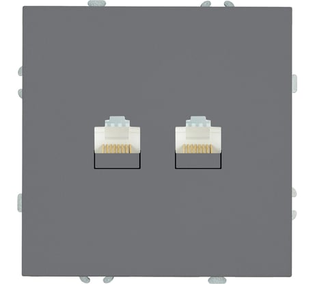 Розетка компьютерная STEKKER 2-местная RJ-45 (механизм), серия Эмили, RST00-5111-10, платиново-серый, soft touch, 49952
