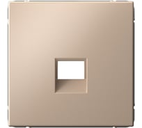 Накладка информационная типа Keystone Systeme Electric ArtGallery Песочный GAL001284