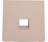 Накладка информационная типа Keystone Systeme Electric ArtGallery Песочный GAL001284 3