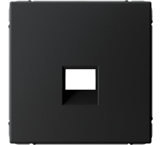 Накладка информационная типа Keystone Systeme Electric ArtGallery Карбон GAL001084 1