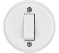 Выключатель 1-клавишный открытой установки TDM ELECTRIC IP20 10А белый "Ретро" SQ1806-0505