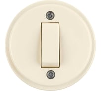 Выключатель 1-клавишный открытой установки TDM ELECTRIC IP20 10А слоновая кость "Ретро" SQ1806-0507