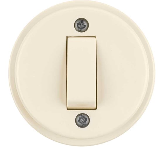 Выключатель 1-клавишный открытой установки TDM ELECTRIC IP20 10А слоновая кость "Ретро" SQ1806-0507 1