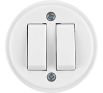 Выключатель 2-клавишный открытой установки TDM ELECTRIC IP20 10А белый "Ретро" SQ1806-0509