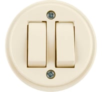 Выключатель 2-клавишный открытой установки TDM ELECTRIC IP20 10А слоновая кость "Ретро" SQ1806-0510