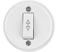 Переключатель на 2 направления 1-клавишный TDM ELECTRIC открытой установки IP20 10А белый "Ретро" SQ1806-0506