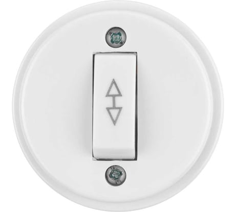 Переключатель на 2 направления 1-клавишный TDM ELECTRIC открытой установки IP20 10А белый "Ретро" SQ1806-0506