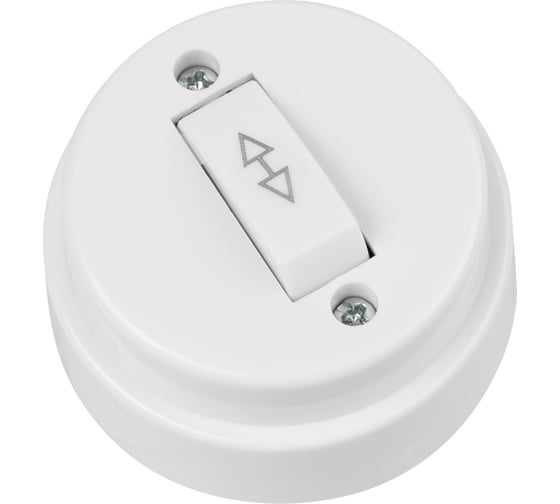 Переключатель на 2 направления 1-клавишный TDM ELECTRIC открытой установки IP20 10А белый "Ретро" SQ1806-0506